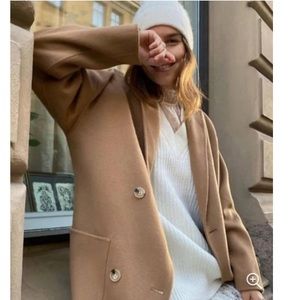 Aritzia Wilfred Bellevue Coat